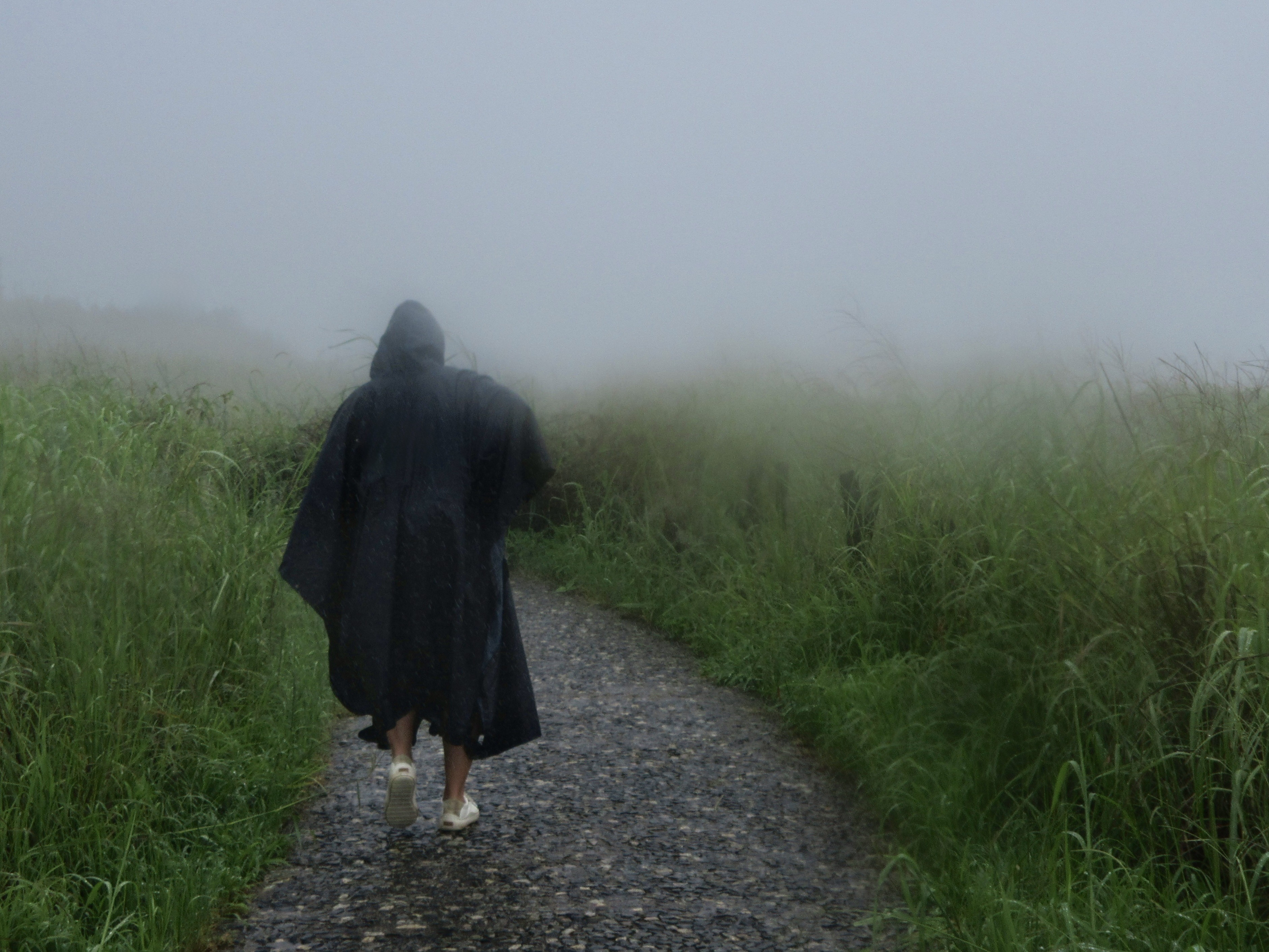 Victoria Falls Collection